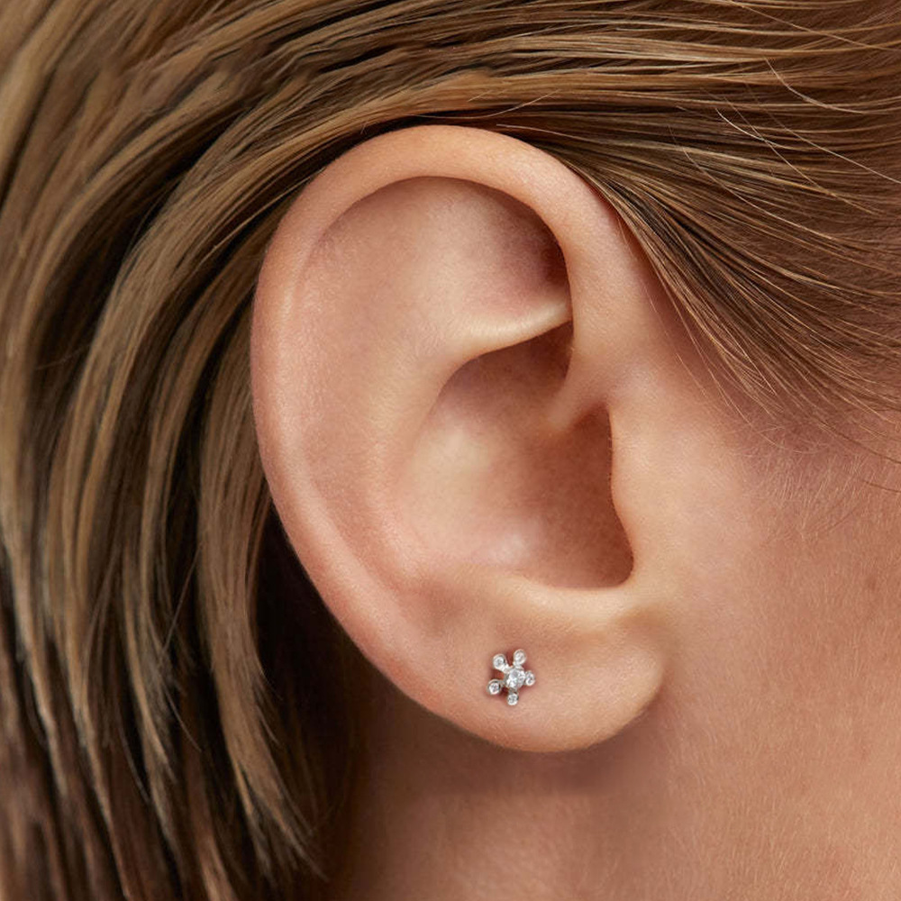 1 Pair Simple Style Geometric Round Flower Plating Inlay Sterling Silver Zircon Ear Studs display picture 5