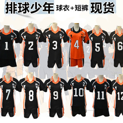 Karasuno High School Volleyball Club Volleyball Boys Anime Cos Wholesale Cosplay Ball Clothes for All Members