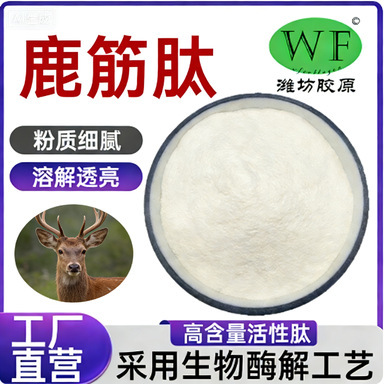 Deer Tendon Peptide 98% Deer Tendon Extract Food-Grade Health Care Raw Material Deer Tendon Protein Peptide Powder Small Molecule Peptide Powder in Stock