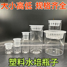 ͸������ˮ�໨��A���Ύ���ֲ�@��ˮ��ˮ���߲˶��ӷN�ӻ��ܾGֲ