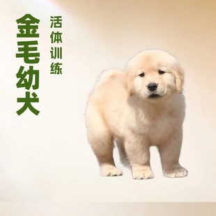 ���N��ë��Ȯ���w�ɐ�Ư������pѪ�y��äȮ��ͥ���̿����oԺ����