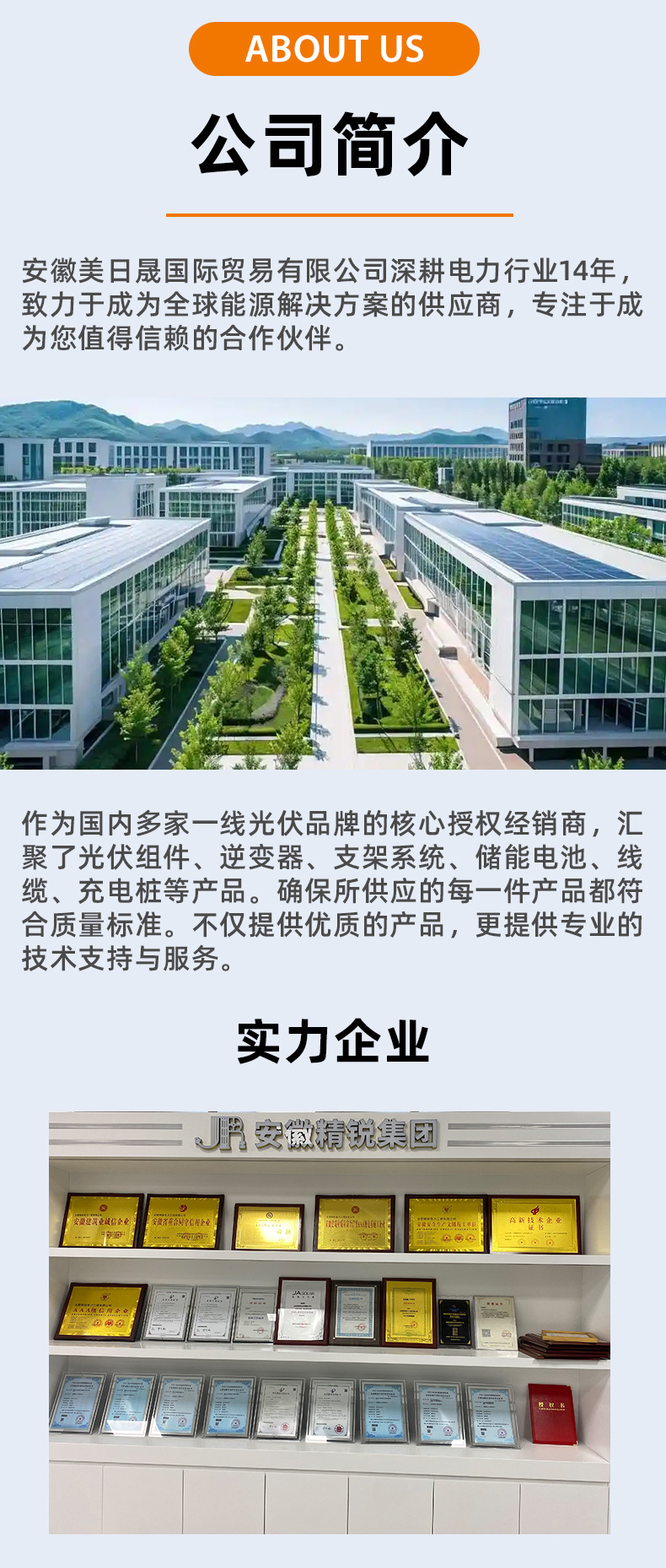 公司简介+实力企业