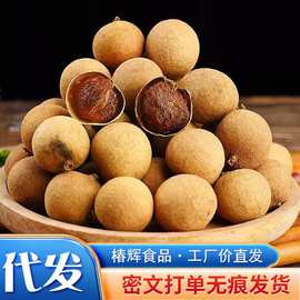 代发桂圆干莆田特产批发袋装小核带壳龙眼干煲汤泡水大颗粒干桂圆