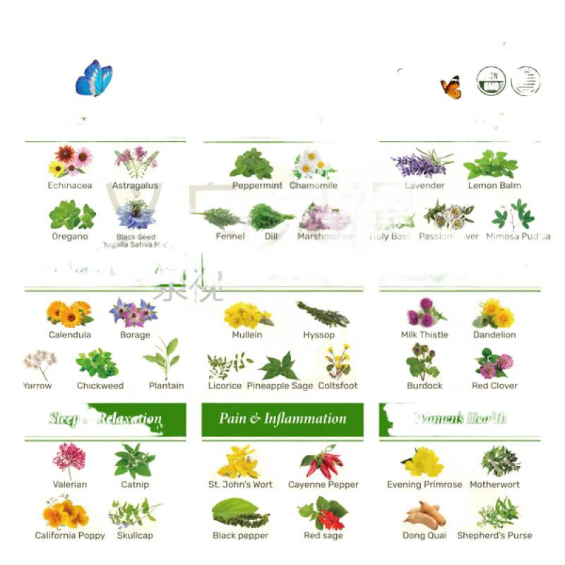 The Forgotten Apothecary Seed Chest被遗忘的药剂师种子箱40种|undefined