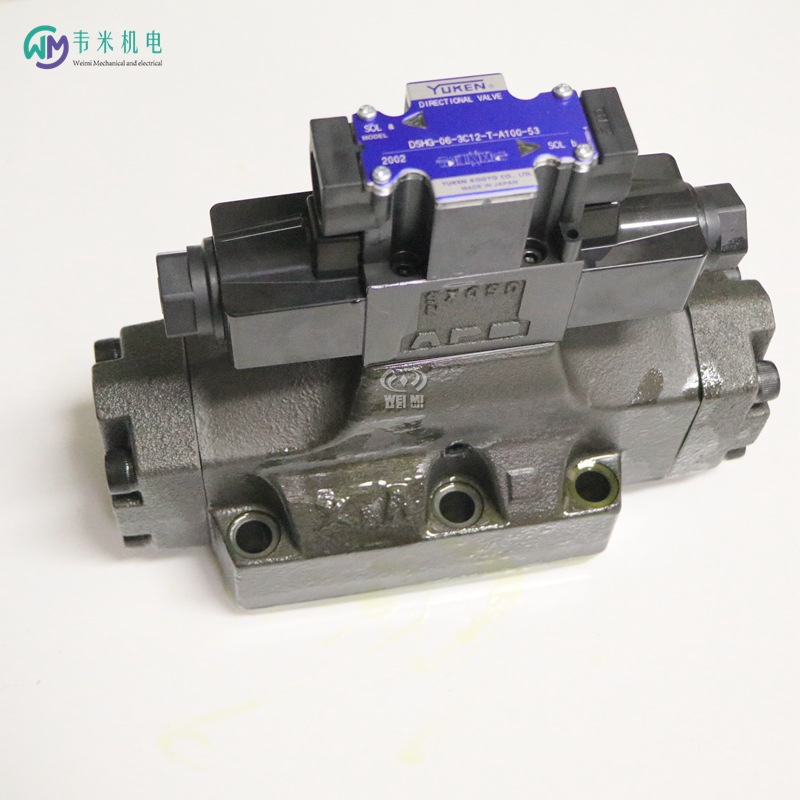 DSHG-06-3C12-T-A100-53