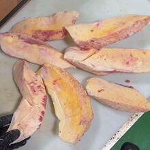 ţ�ؿ����ؿږUţ�S���ǻ���ؿړ��S��ţ�ؿ��������ˬ������