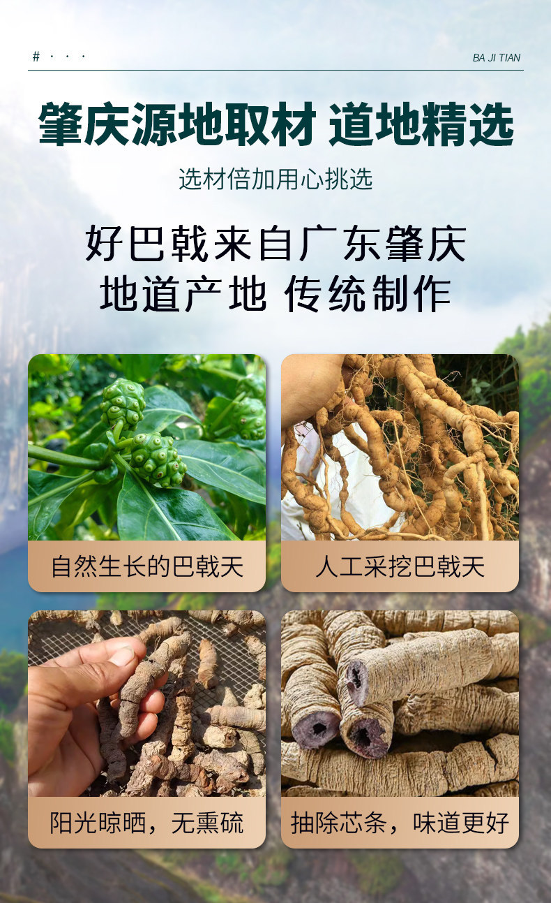 Morinda Root Ba Ji Tian 500g Dried Chinese Herb for Decoction and Herbal Wine quality and texture