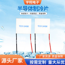 TES1-24106�뵼������Ƭ�㲿��������������������Ƭ �ӹ�����