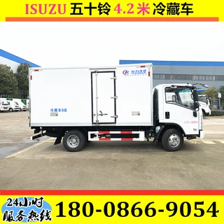 外贸出口 ISUZU 冷藏车 五十铃冷链车 雏禽运输车 汤圆水饺冷藏车