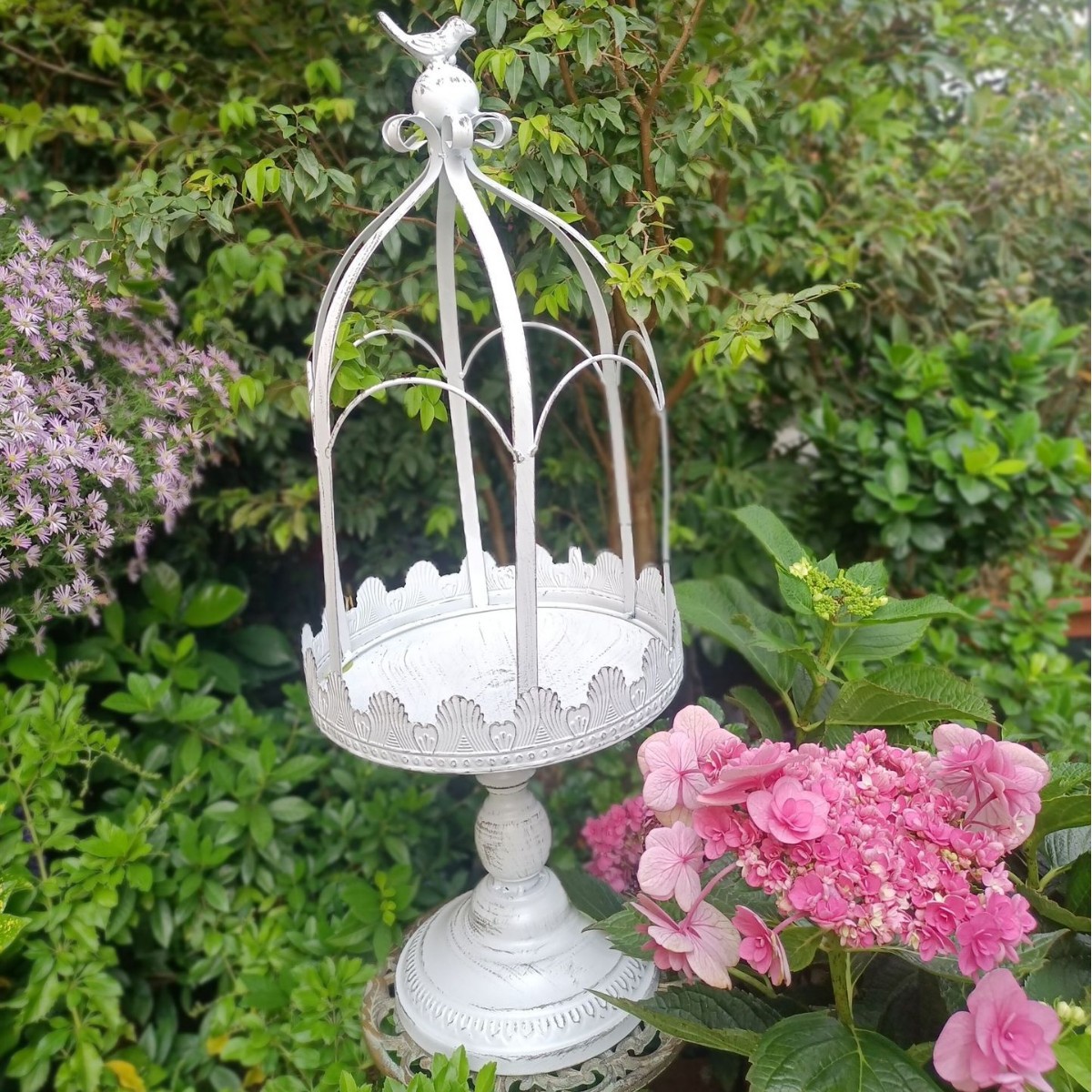 흰색과 오래된.