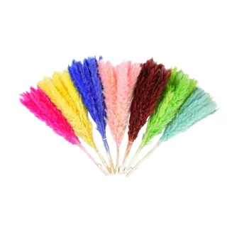 云南天然彩色小芦苇 干花潘帕斯草15支/束厂家多颜色批发量大优惠