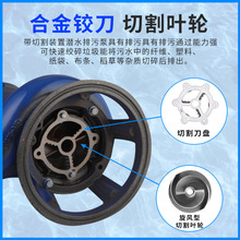 иûS،иúϽ𵶔蝓ˮԄӔWQKˮ۱