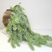 ����ɼľ��Gֲ�ڒ����ֲ��廨���ټҾ�ܛ�b�bٻ�ֲ�����l