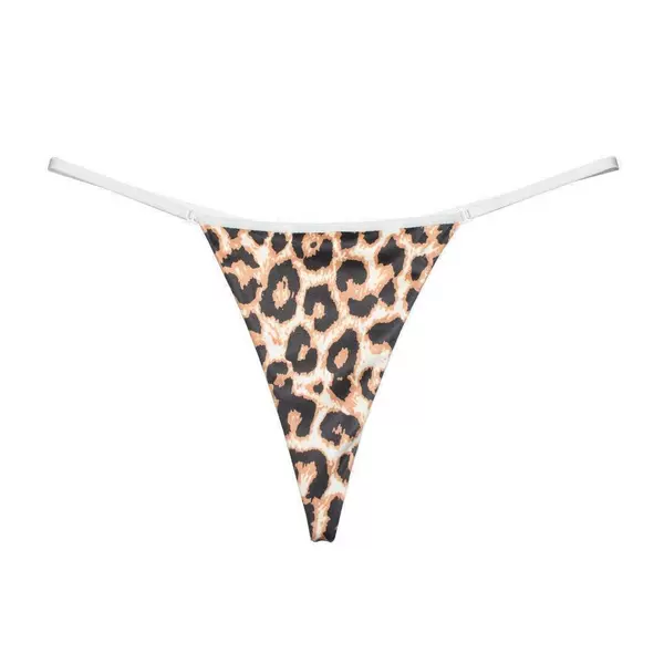 Leopard 2