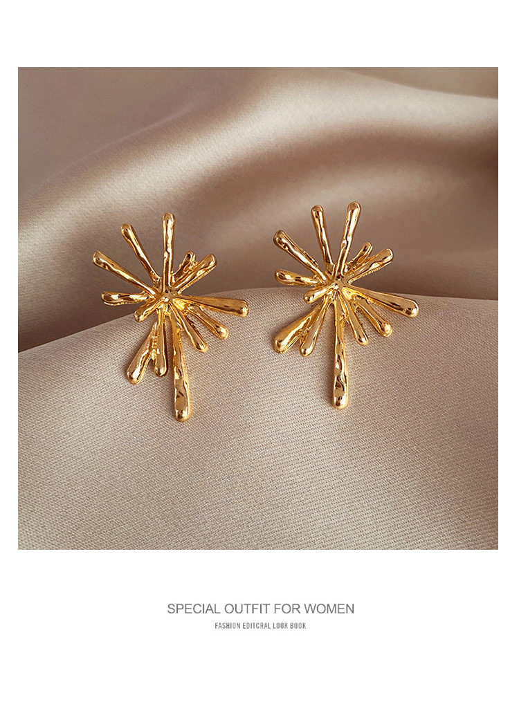 Earrings Classification 1 Pair Quantity 1 Pair Retro Leaf Square Alloy Women's Earrings