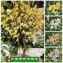 新款白色槐花 加密高枝洋槐花 黄丁香婚礼堂软装家居酒店装饰假花