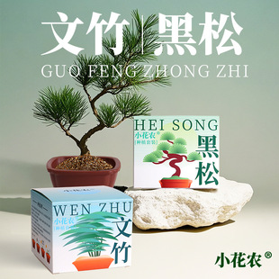 С���r����ֲ����L�Nֲ�Gֲֲ�ﷀסī�L�옷�Nֲ����ī�ɾGֲ