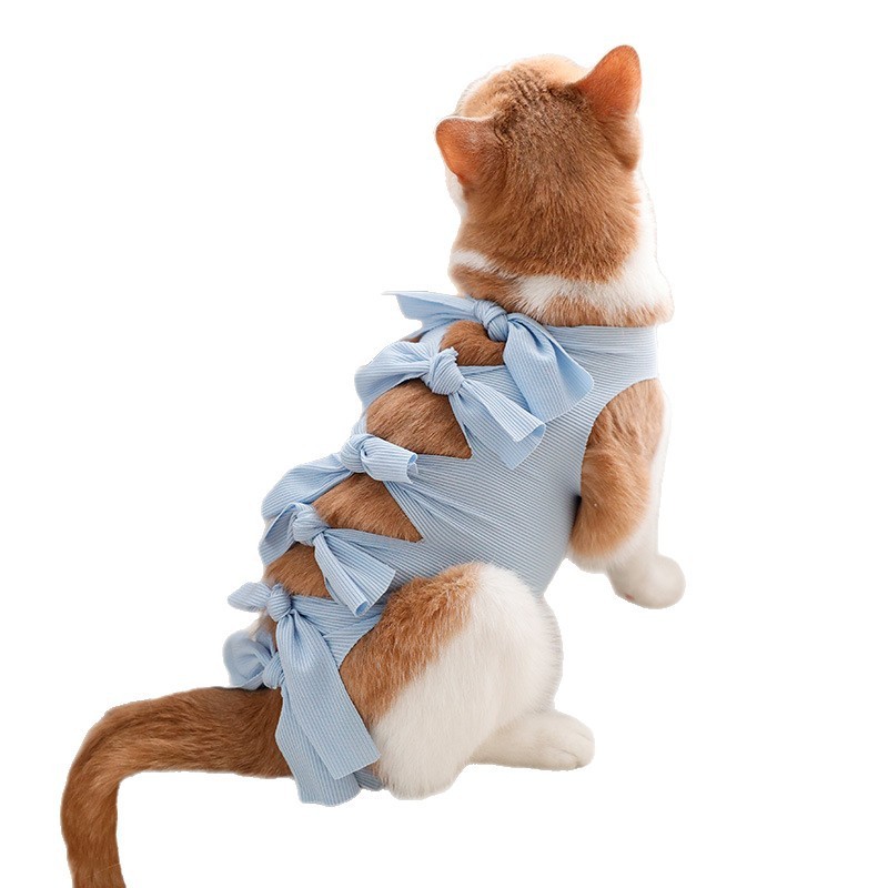 猫咪绝育服母猫手术服衣服透气戒奶服奶服公猫防舔术后宠物猫猫|undefined