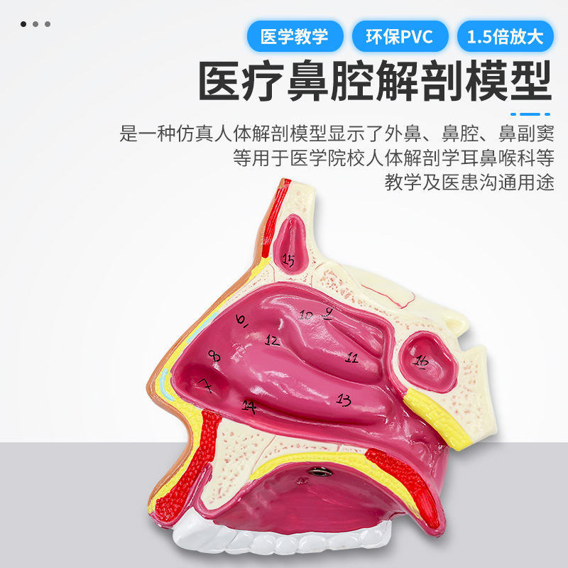 �����ǻ����ģ�� �ڱ���ʸ״ ����ģ�� ��ٿƶ��Ǻ��ƽ�ѧģ��