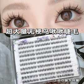 粘胶款超大量无梗鸟啾啾假睫毛可爱原生毛流感上镜自然又甜又盐