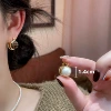 Y33 half-face leopard print flocked earrings