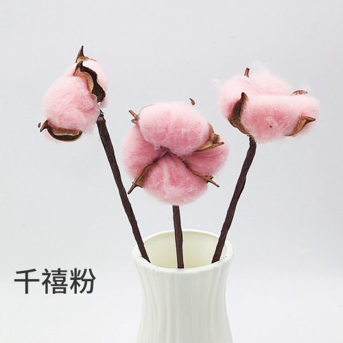 Cotton dried flowers Christmas cotton single colorful cotton flower arrangement props diy simulated cotton Christmas accessories immortal flowers