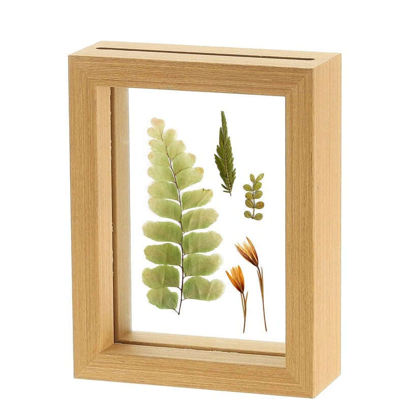 Wooden Embossed Photo Frame with Cross-Border Plant Specimens, Dried Flowers and Leaves, Floating Double-Layer Glass Frame, Hand-Carved
