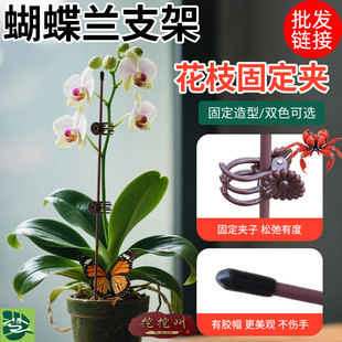 Wholesale Phalaenopsis Stand Flower Clip Support Rod Flower Special Pillar Vine Frame Wire Shape Gardening Fixation