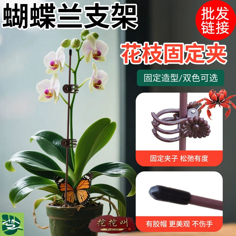 Оптовая подставка фаленопсис цветочный зажим опорный стержень цветок специальный столб лоза рамка проволочная форма садовая фиксация