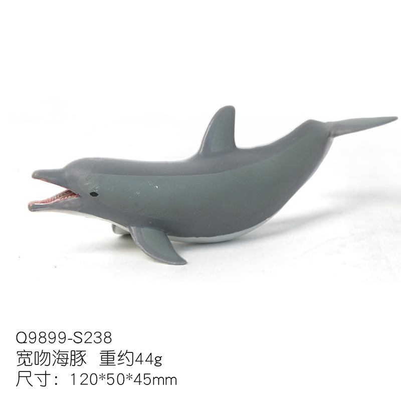 Delfín nariz de botella