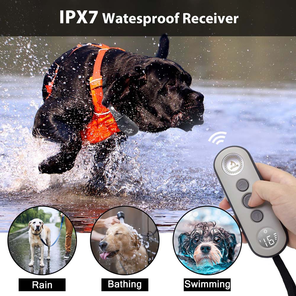 680训狗止吠器防水