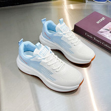 \ЬŮЬ2024¿ļW͸ܲЬppRЬ