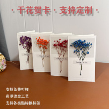 �M���Ǹɻ�С���T�����նY��̎����R�����﹝�ж�ף���YƷ��Ƭ