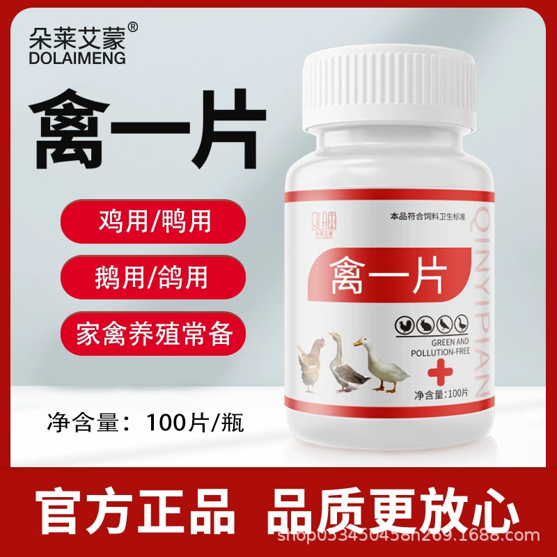 Птица, курица, утка, гусиная птица, первая помощь