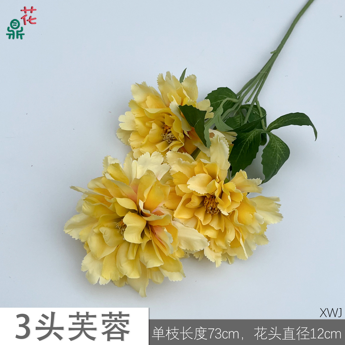 3 đầu dâm bụt XWJ màu vàng