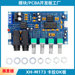 XH-M173 卡拉OK板 K歌混响板 话筒放大板 唱歌放大板卡拉OK功放板