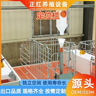 养殖场母猪定位栏落地式限位栏 猪用定位栏带槽 加厚产床仔猪保育