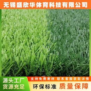 Private School Playground Free of Filling Artificial Artificial Turf Football Field Park Youth Training Football Club