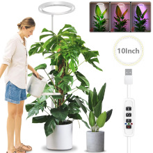 ȫ���V10Ӣ��USBֲ���a�����s�U�������������LEDֲ�����L��