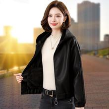 �ӽq�Ӻ��������BñСƤ������Ů�ﶬ���̿��Ƥ�A������