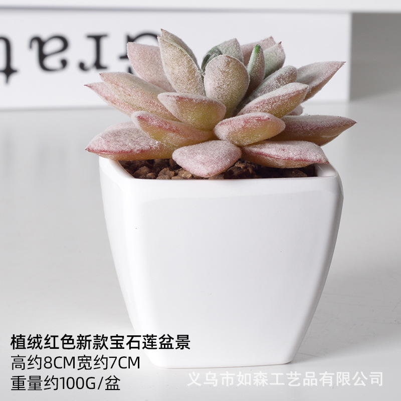 Simulación de plástico carnoso bonsai flor falsa combinación oficina interior escritorio plantas verdes pequeños adornos plantas artificiales al por mayor image 52