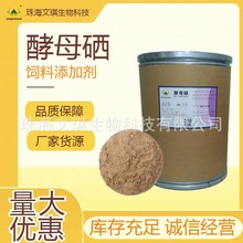 �S�����l ������ĸ Ʒ�|���� ����ĸ�� �� �gӭǢՄ �r�񌍻�