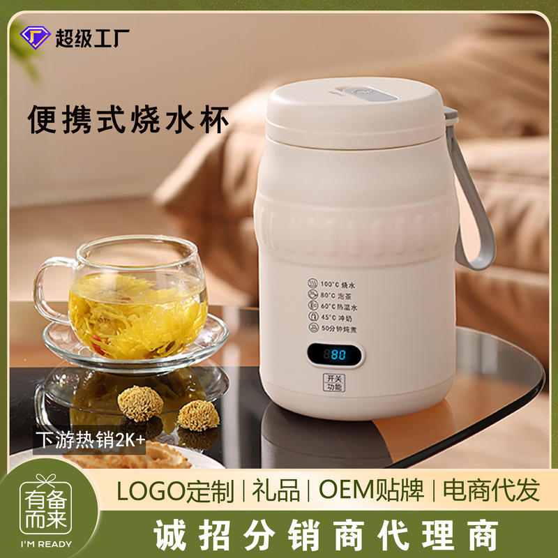 Portable Burning Water Cup Kettle Small Constant Temperature Electric Water Cup Heating Thermos Cup Travel USB Portable Water Cup
