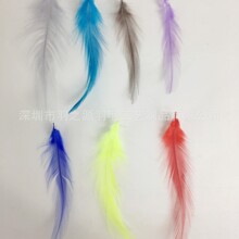 优质染色百项野鸡毛DIY彩色羽毛手工饰品羽毛装饰品