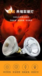 Neutral Electrical GE Infrared Light Bulb PAR38175W Farm Special Light Bulb Pig Light Thick Glass Spot