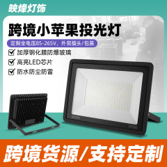 クロスボーダー小さなリンゴ投光器防水屋外ライト LED 投光器 100 ワット屋外ライト超薄型投光器メーカー