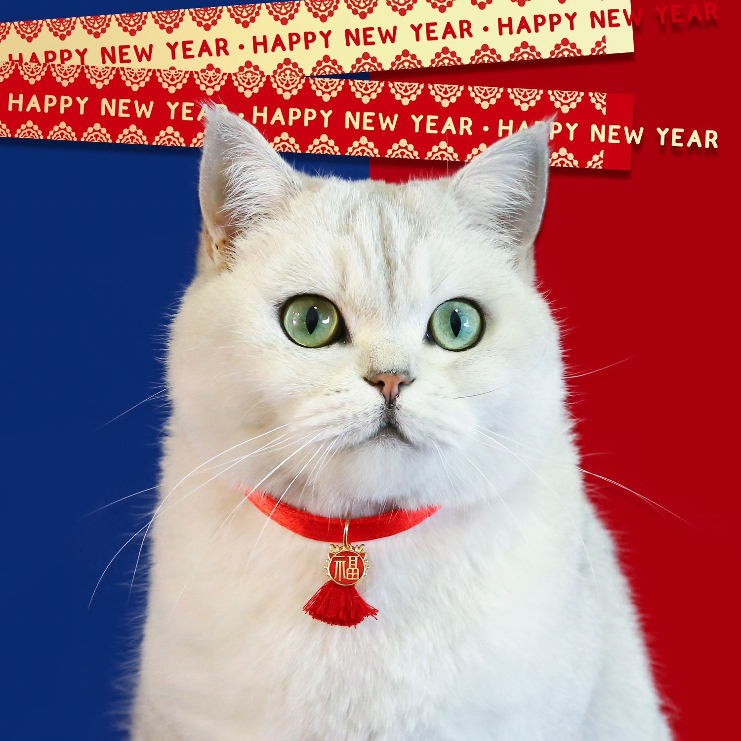 2024 año del dragón collar de mascotas buena suerte fortuna colgante gato cachorro doble collar de celebración