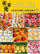 包裝臍橙奇異果卡通果蔬柑橘梨子不干膠貼蘋果標簽標簽紙紅富士