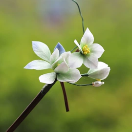 发簪;发钗;耳环