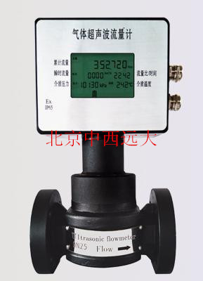 气体声波流量计 型号LR999/DN25库号M400252